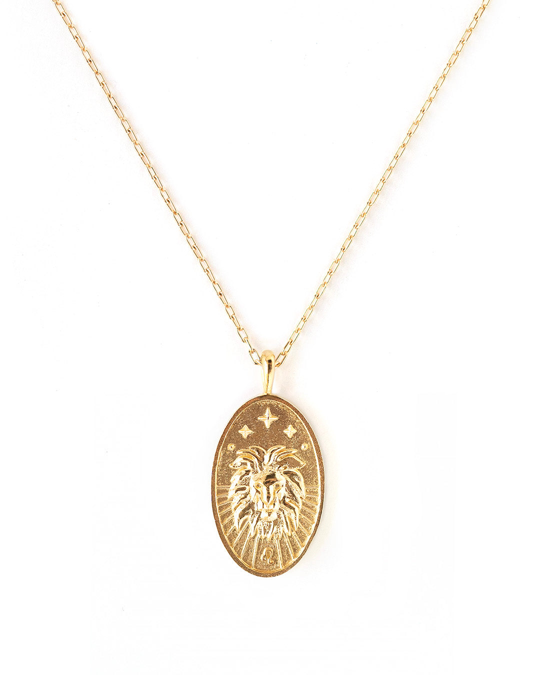 Leo Gold Zodiac Necklace wellDunn jewelry