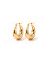 Crow | Gold Dangle Earrings