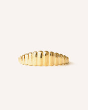 Ribba Solid Gold Ring