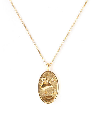 Capricorn | Gold Zodiac Necklace